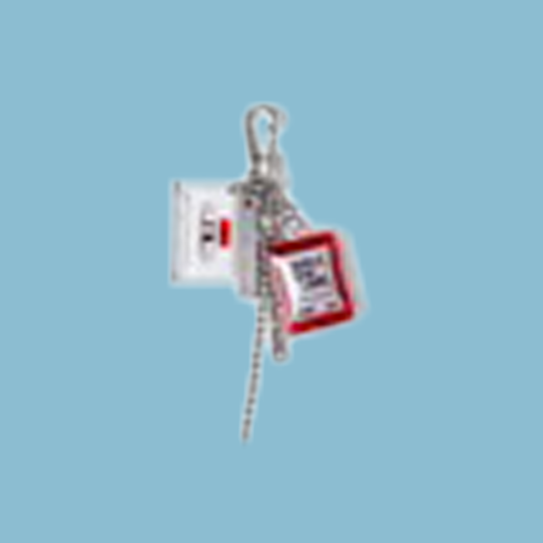CHARM KEYRING